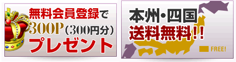幸福の胡蝶蘭屋さん 販売店